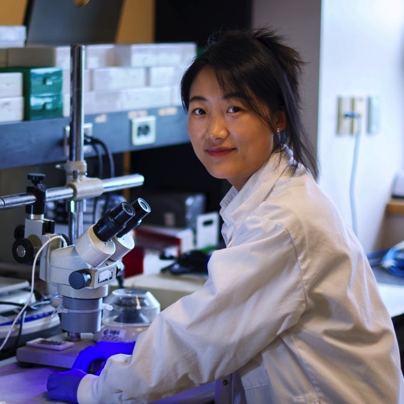 Xixi Guo, MSc, PhD(c)